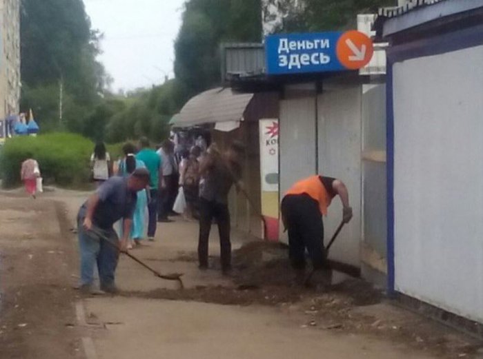 Забавные картинки