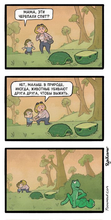 Забавные картинки