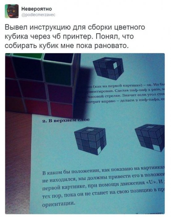 Забавные картинки