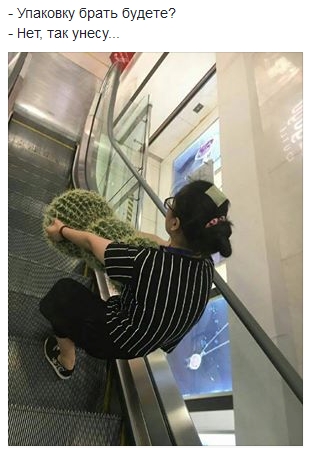 Забавные картинки