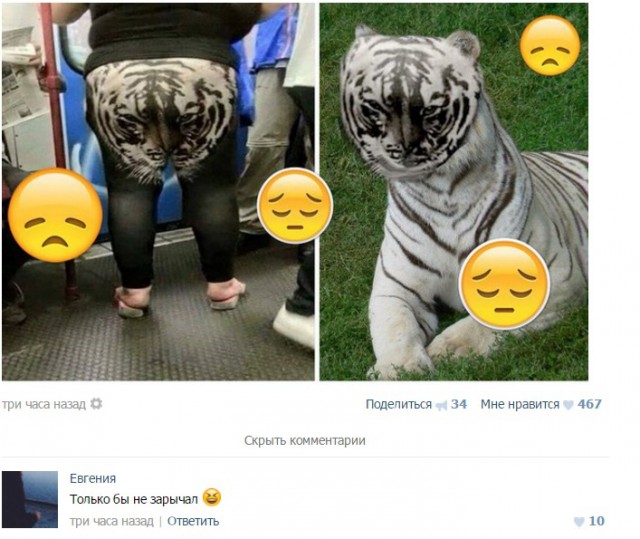Забавные картинки