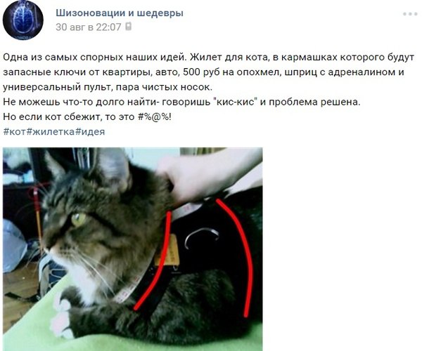 Забавные картинки