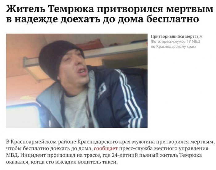 Забавные картинки