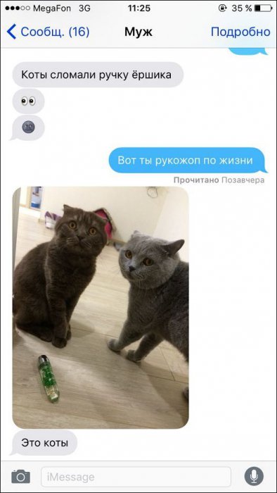 Забавные картинки