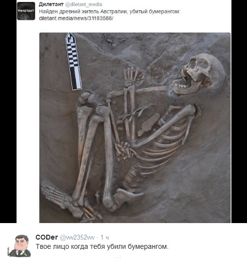 Забавные картинки