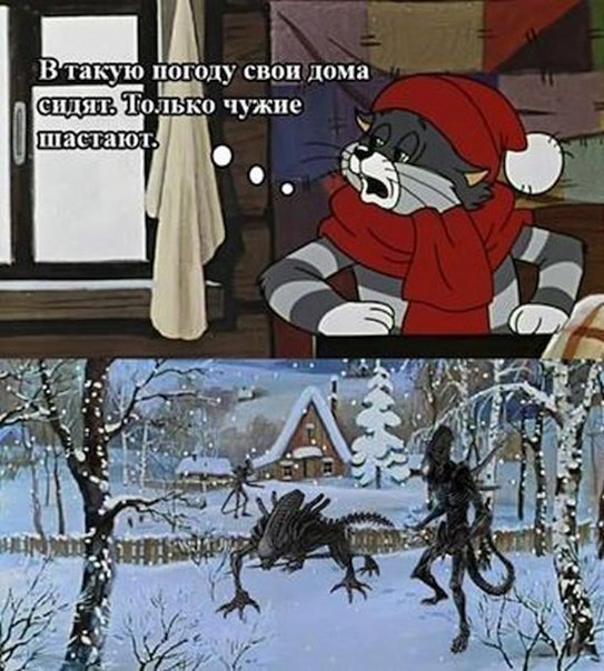 Забавные картинки