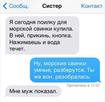 Забавные картинки