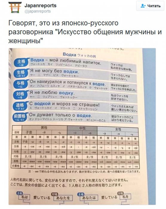 Забавные картинки