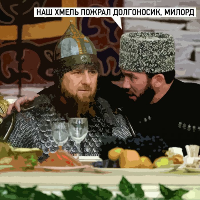 Забавные картинки