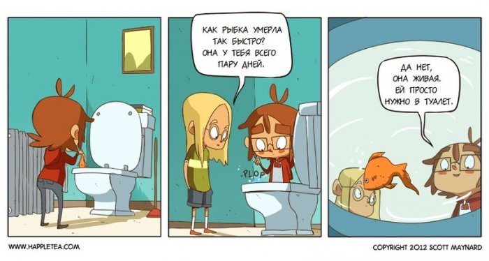 Забавные картинки