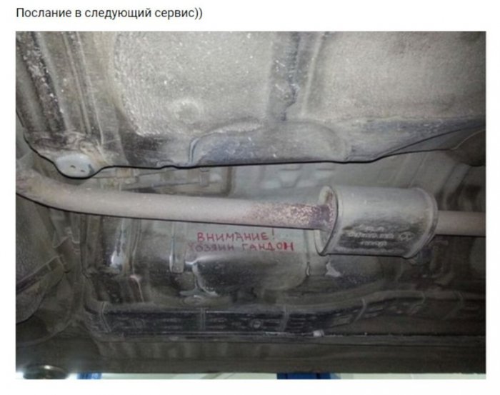 Забавные картинки