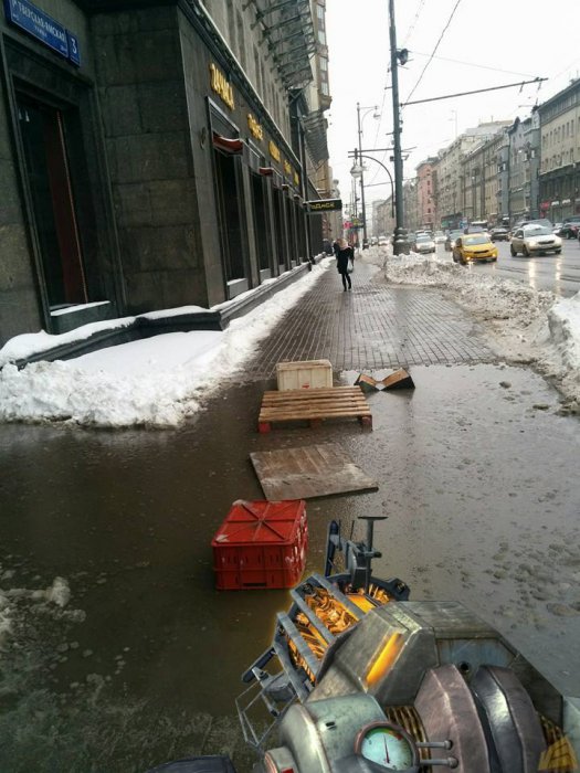 Забавные картинки