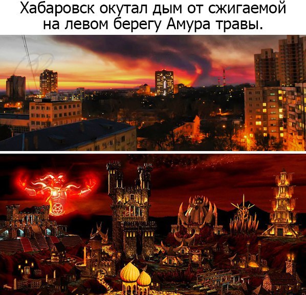 Забавные картинки