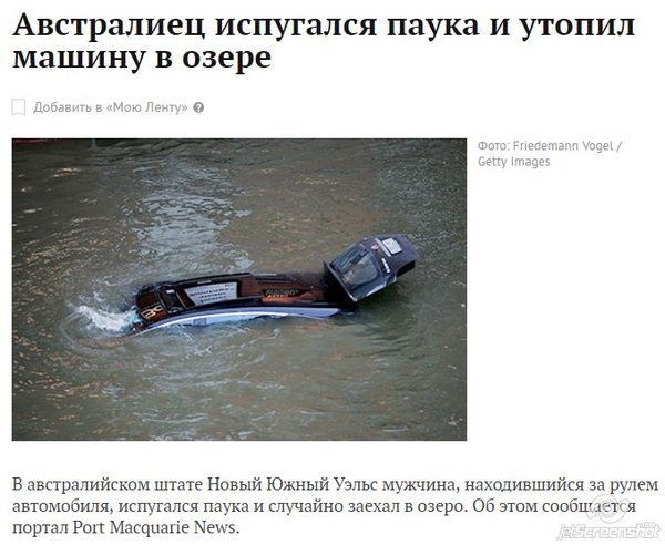 Забавные картинки