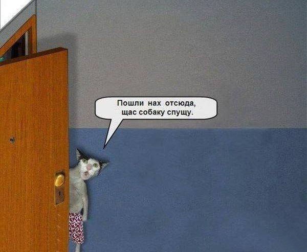 Забавные картинки