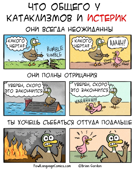 Забавные картинки