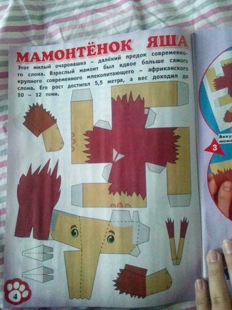 Забавные картинки