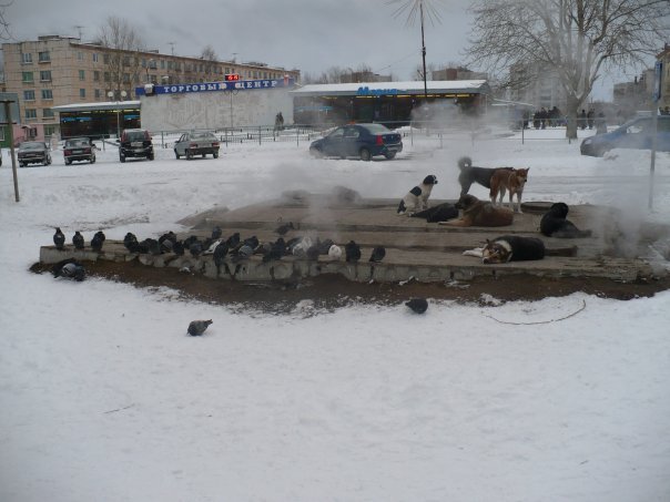 Забавные картинки
