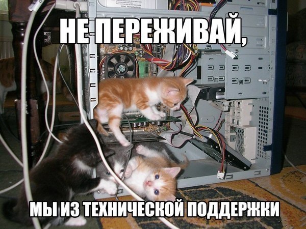 Забавные картинки