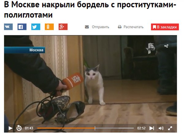 Забавные картинки