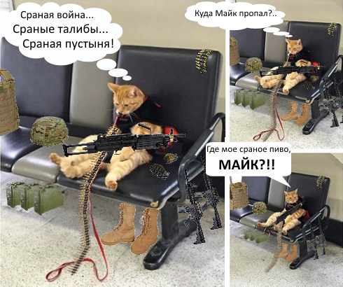 Забавные картинки