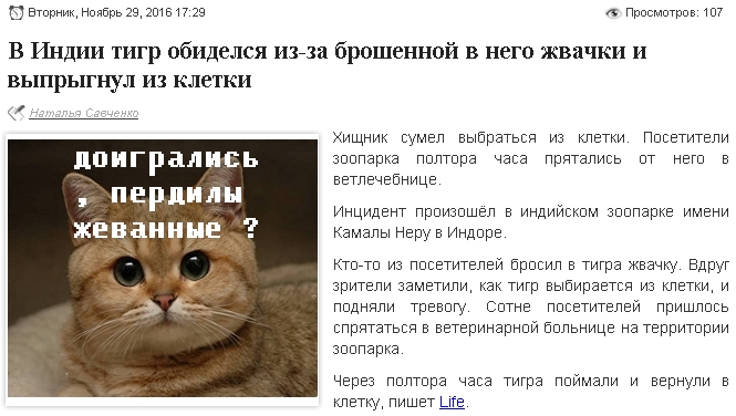 Забавные картинки