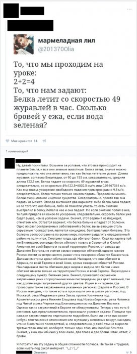Забавные картинки