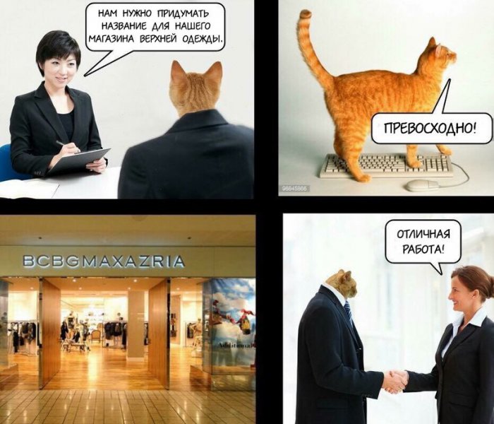 Забавные картинки