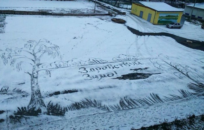 Забавные картинки