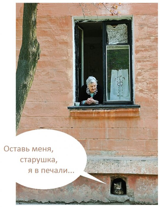 Забавные картинки