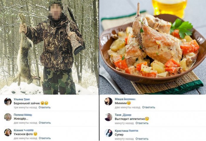 Забавные картинки