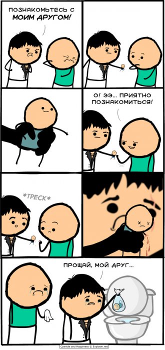 Забавные картинки