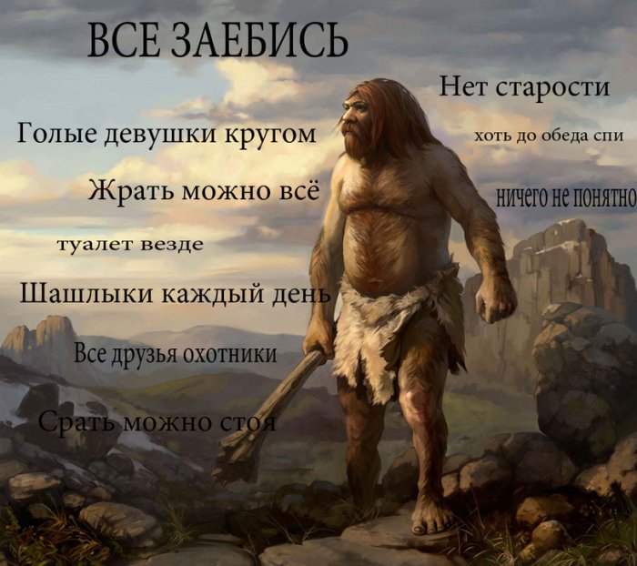 Забавные картинки