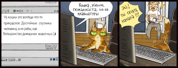 Забавные картинки