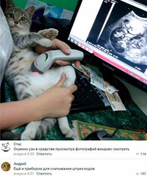 Забавные картинки