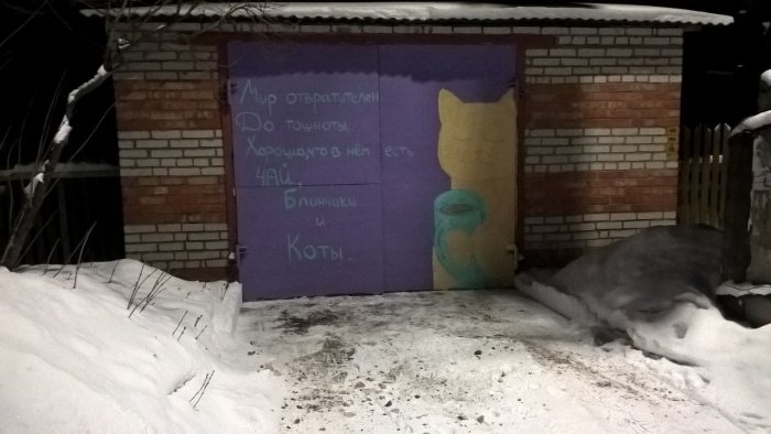 Забавные картинки