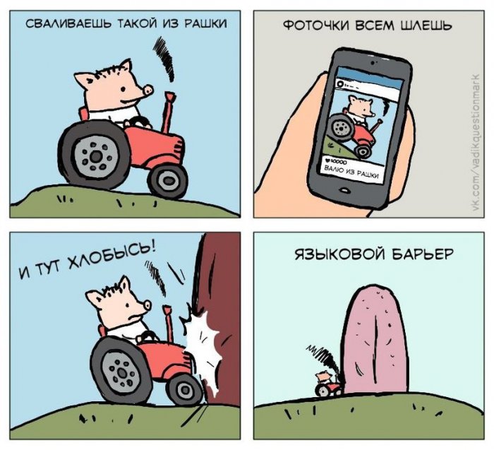 Забавные картинки