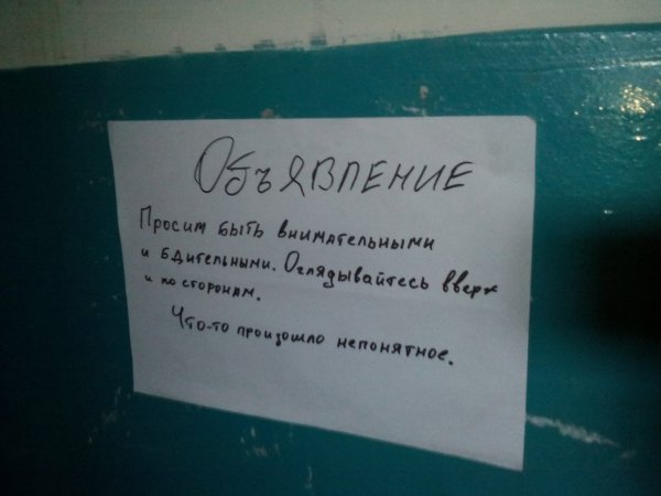 Забавные картинки