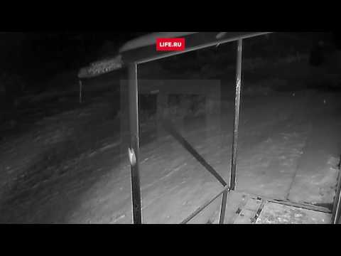 Жестокое убийство ребёнка
