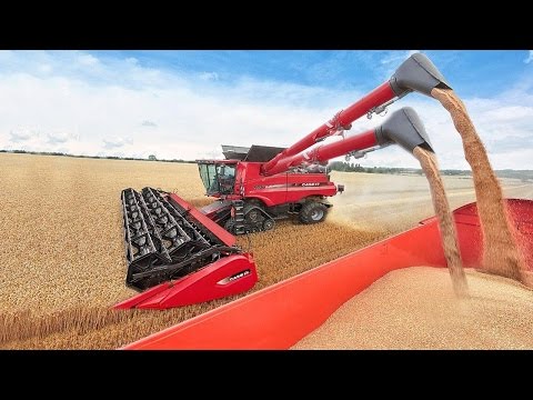 Механическое порно: большие игрушки селян
