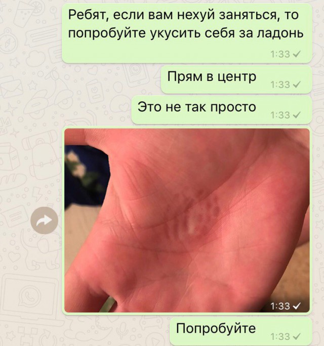 Забавные картинки