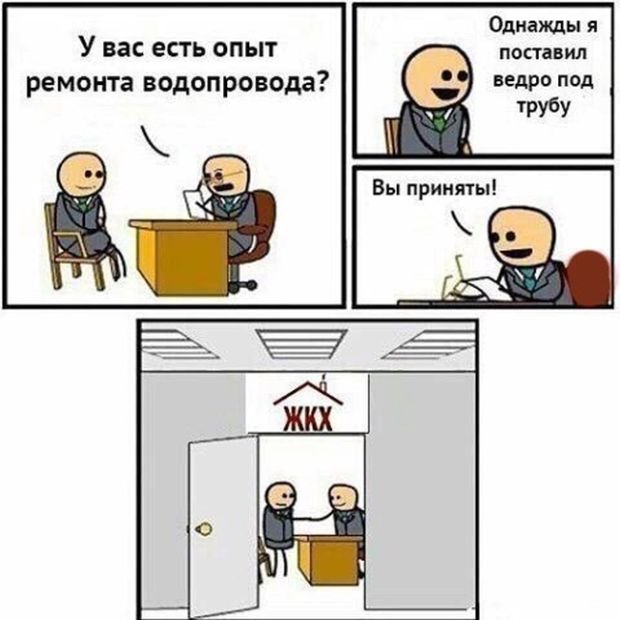 Забавные картинки