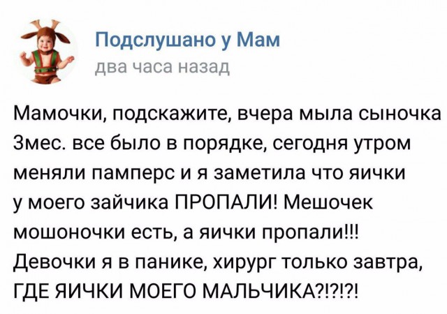Яжемать! Подборка цитат и рассуждений