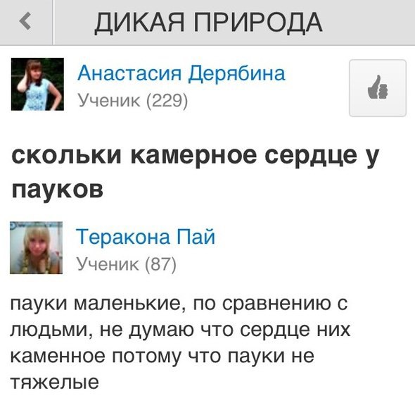 Забавные картинки