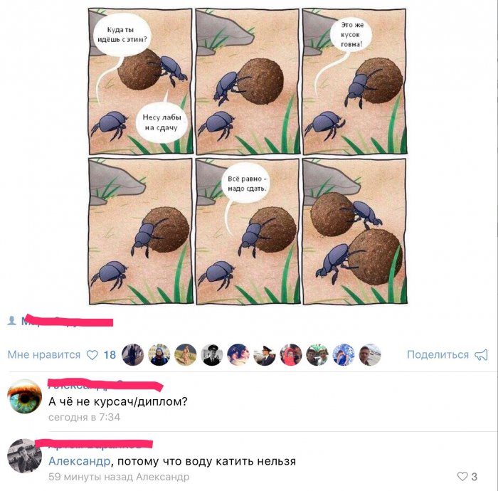 Забавные картинки