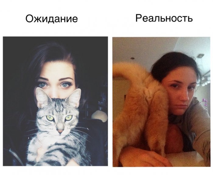 Забавные картинки