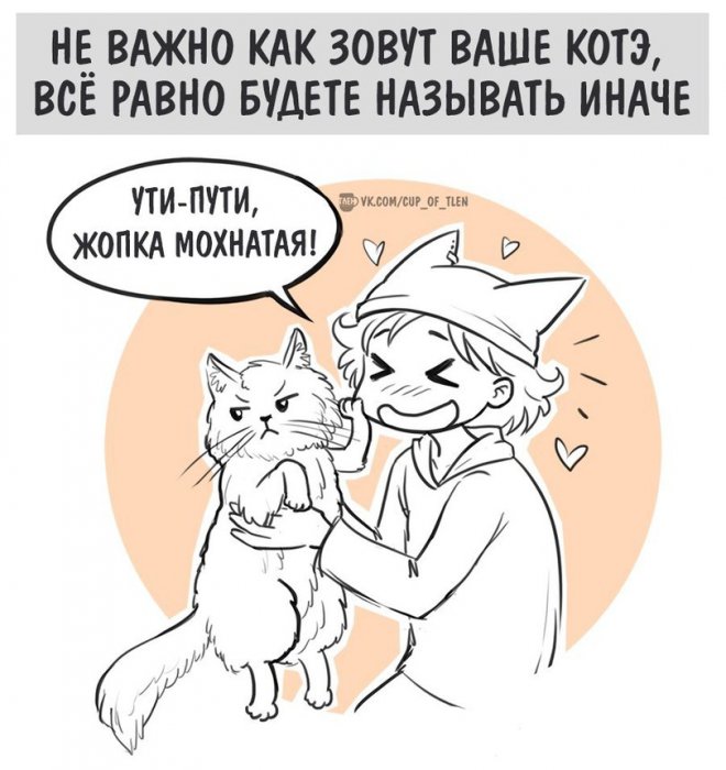 Забавные картинки