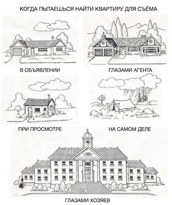 Забавные картинки