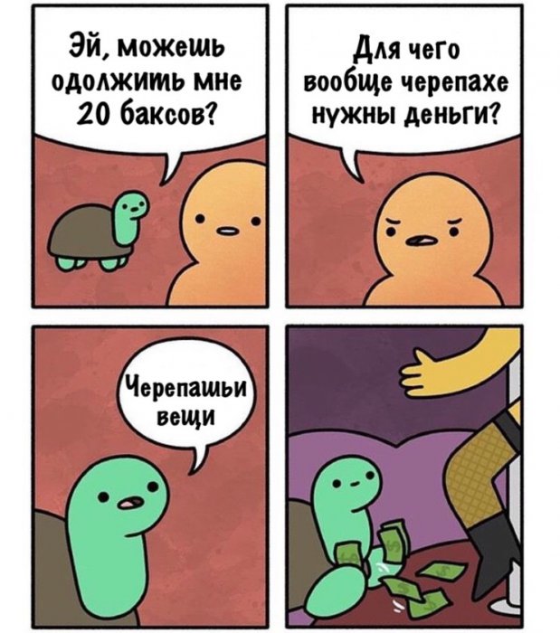 Забавные картинки