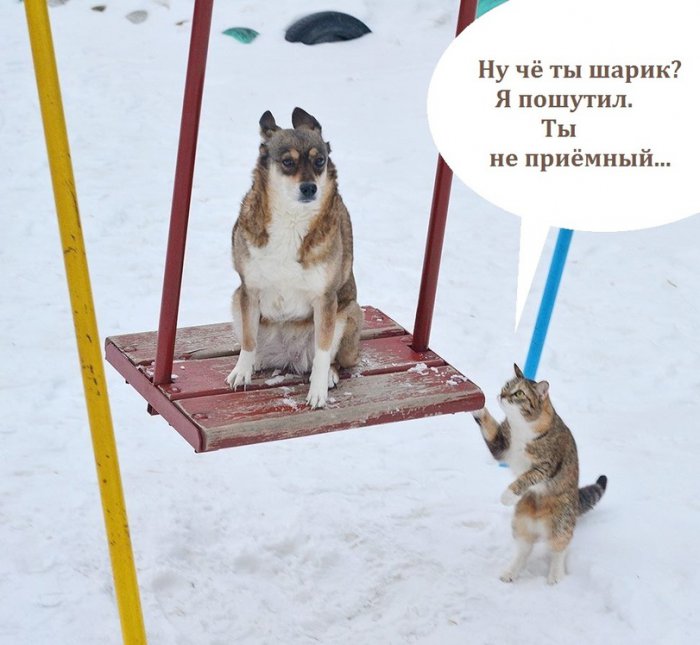 Забавные картинки